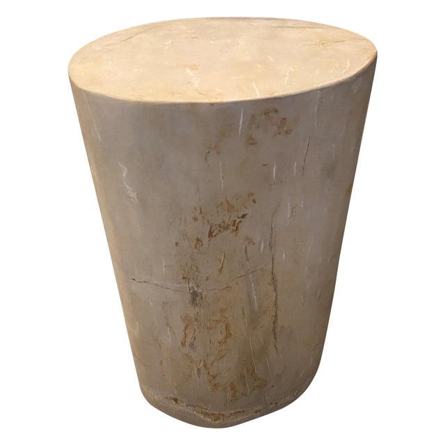 Impressive beautiful petrified wood side table. It’s fascinating how Mother Nature produces these stunning 40 million year...