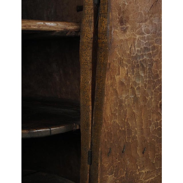 Primitive Folk Art Cabinet Tree Trunk, 1900s For Sale - Image 9 of 17
