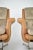 French Lounge Chairs Attributed to Raphaël Raffel for Apelbaum, 1970s For Sale - Image 6 of 13