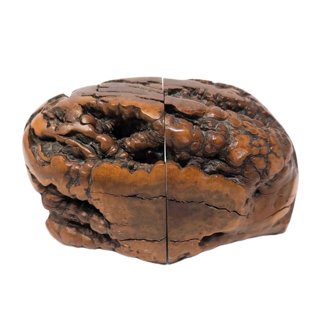 Burlwood Bookends Live Edge Natural Rustic Library Mid Century Modern Unique For Sale - Image 4 of 9