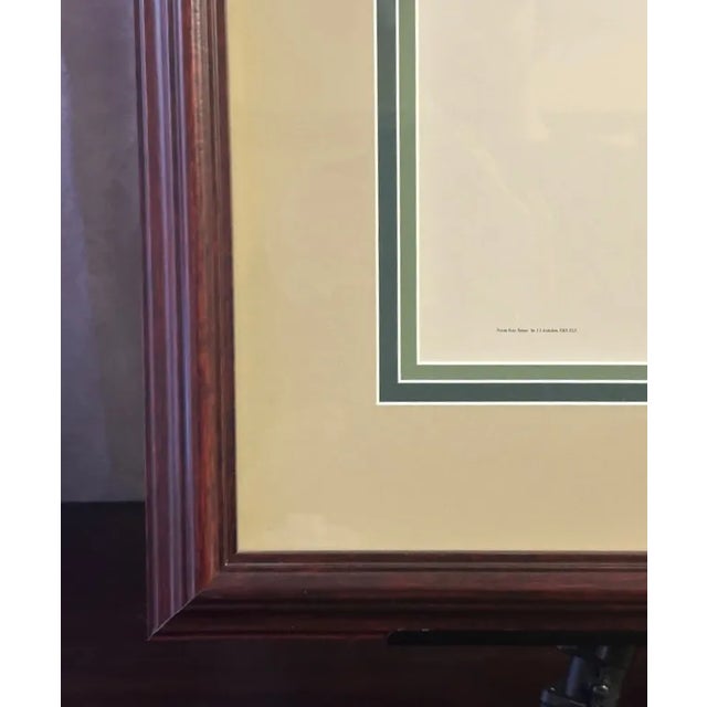 Vintage Audubon Society Cardinal & Grosbeak Framed Print - 24x29 Bird Art For Sale - Image 4 of 12