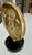 Bronze Mid Century Greek Athenian Owl Architectural Fragment on Stands For Sale - Image 8 of 15