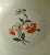 Grindley Art Deco Poppy Serving Bowls - Set of 3 For Sale - Image 4 of 8