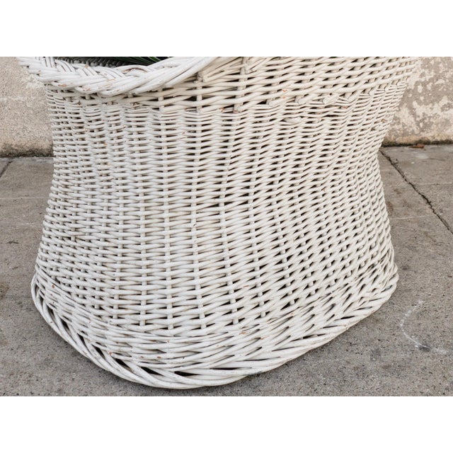 Modern White Wicker Chair Chairish