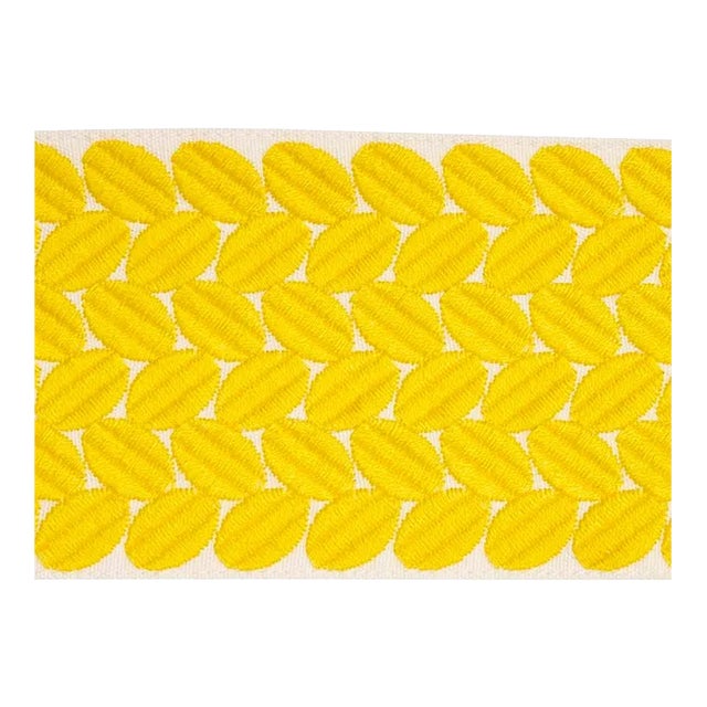 Sample - Schumacher Berkeley Tape Wide in Yellow For Sale