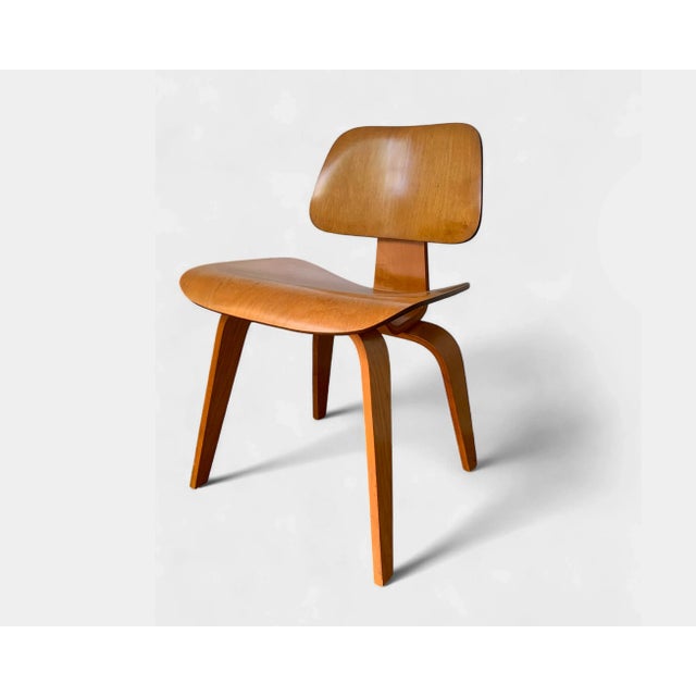 DCW Dining Chair in Wood by Charles & Ray Eames for Herman Miller, 1950s For Sale - Image 16 of 16
