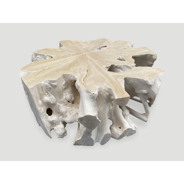 Andrianna Shamaris Bleached Teak Wood Round Organic Coffee Table For Sale - Image 4 of 18