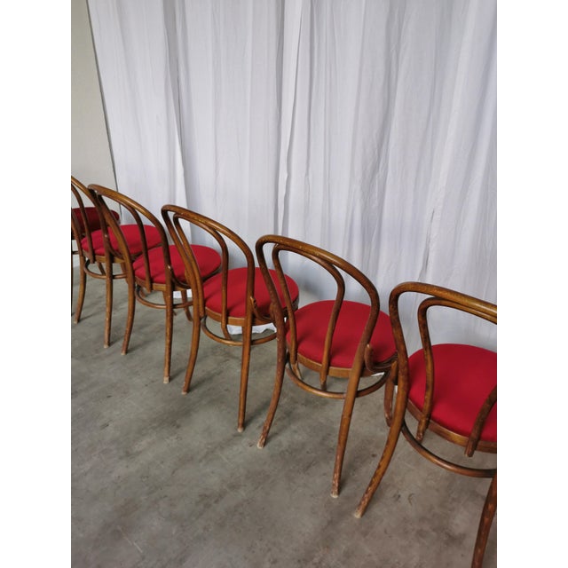 Vintage Bentwood Dining Chairs with Red Upholstery, 1970s, Set of 6 For Sale - Image 10 of 18