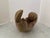 Coastal Hand Carved Wooden Shell With Gilt For Sale - Image 3 of 6