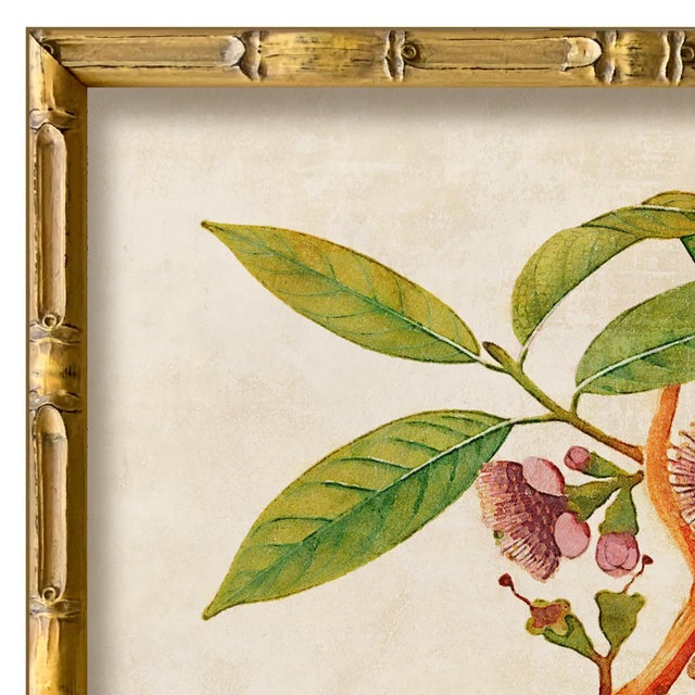 Various Artists Reproduction Giclee Print of Vintage Fruit & Flowers (3) Art Print, Framed For Sale - Image 4 of 6