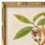 Various Artists Reproduction Giclee Print of Vintage Fruit & Flowers (3) Art Print, Framed For Sale - Image 4 of 6