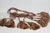 Shabby Chic Vintage 8 PCS Large Silk Tassels With Tiebacks For Sale - Image 3 of 7