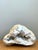 Vintage White Quartz Geode For Sale - Image 11 of 12