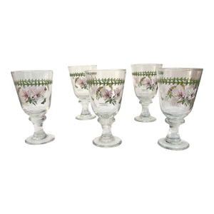 1970s Portmeirion Botanic Garden All Purpose 15 Oz Wine Water Goblet Glass Set of 5