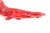 Red Resin Croco Spirit from Richard Orlinski For Sale - Image 9 of 11