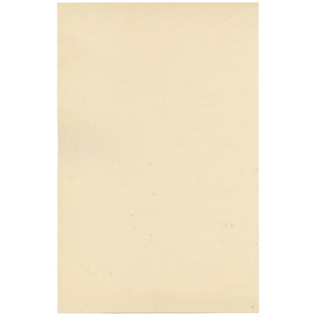 19th Century E.B.R. Passion Flower (Passiflora), 1800s, Paper For Sale - Image 5 of 7