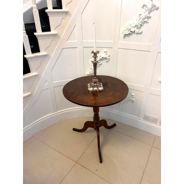 Antique Georgian Burr Oak Tripod Tilt Top Occasional Table, 1780 For Sale - Image 4 of 14