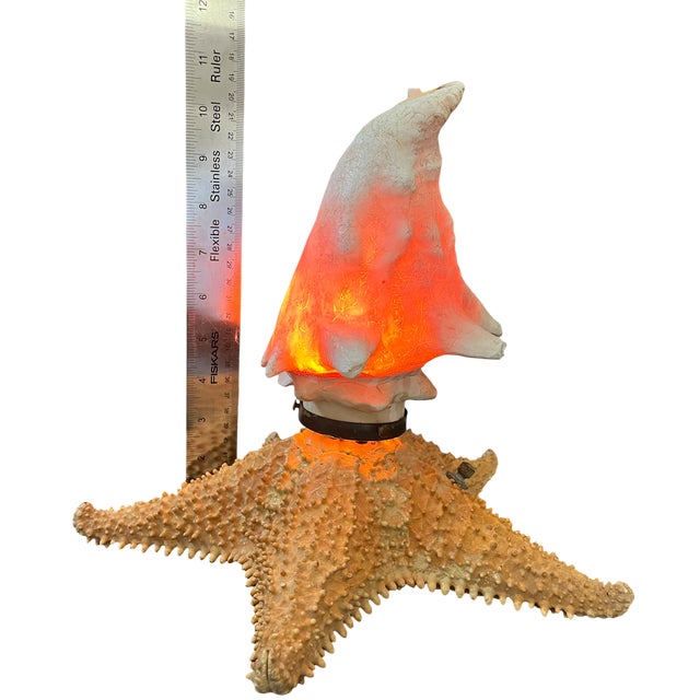 Vintage Natural Conch Shell & Starfish Coastal Table Lamps - a Pair For Sale - Image 16 of 18