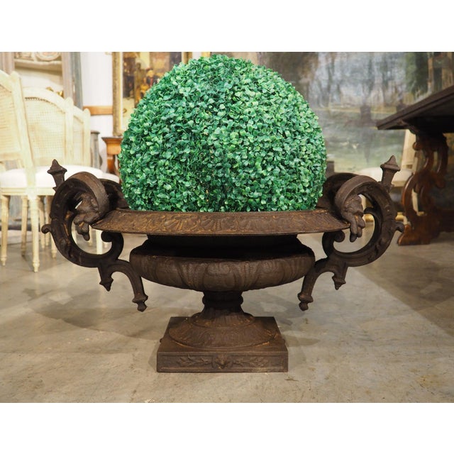 More information coming soon… This large cast iron vase, dating to the 1800s, has elaborate double-scrolled handles with...