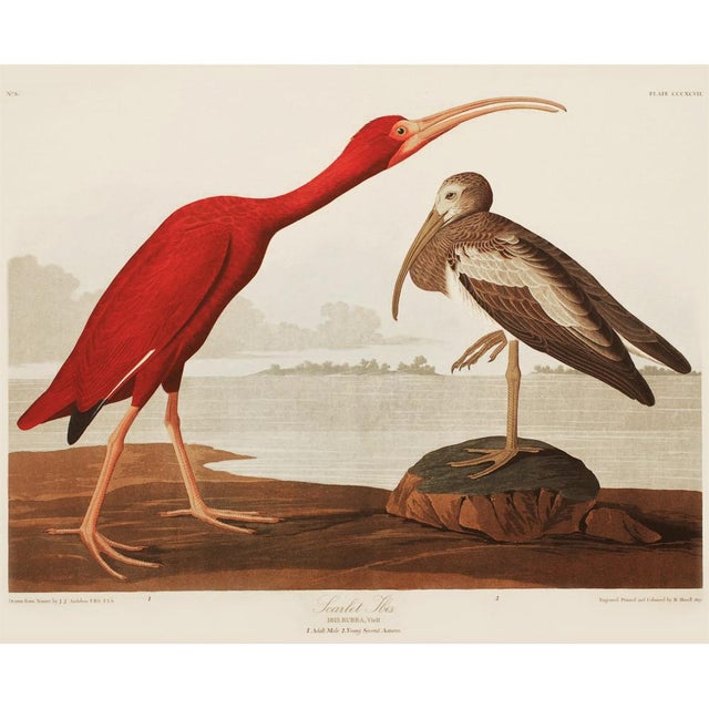 A stunning large vintage Cottage, American Classical, Nautical or Chinoiserie Style reproduction of the original Vintage...