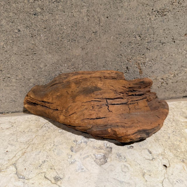 Free Form Organic Wood Root Sculpture For Sale - Image 4 of 6