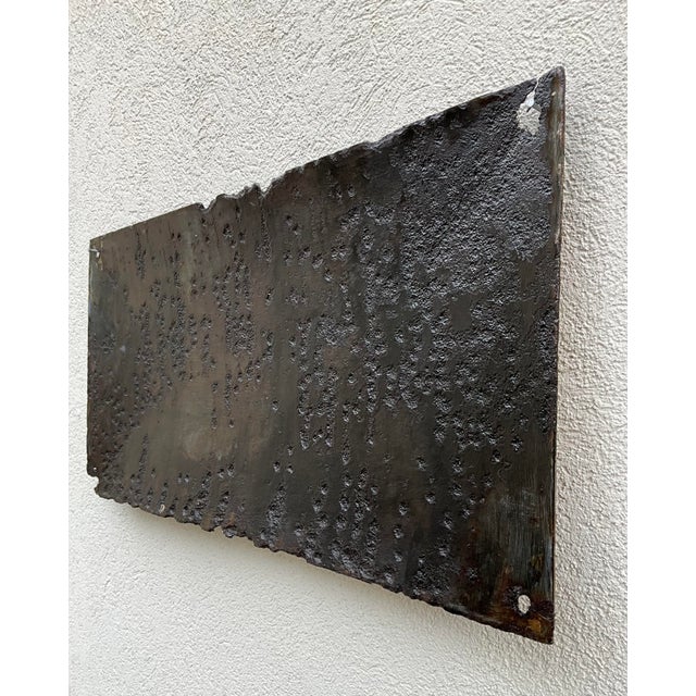 Antique Belgian Embossed Enamel Animal Protection Sign, 1905 For Sale - Image 10 of 11