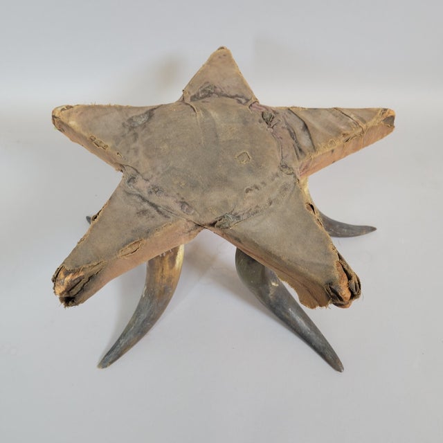 Tan American Folk Art Star Pincushion on Mounted Cattle Horn Base, Early 20th Century For Sale - Image 8 of 9