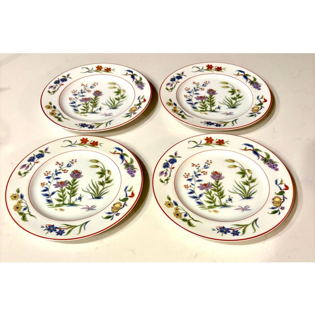 Traditional Vintage Boho Regency CHC Queen's Garden Floral Plates With Red Rim- Set of 4 For Sale - Image 3 of 6