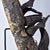 Wood Early 20th Century Dan, Wee, Kran, Guerre Guere Mask on Stand For Sale - Image 7 of 15