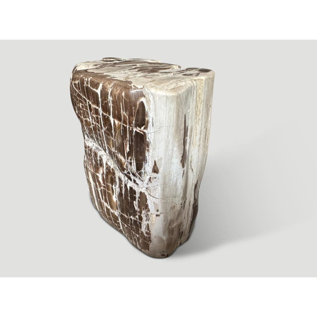 Wood Andrianna Shamaris Ancient Sculptural Petrified Wood Side Table For Sale - Image 7 of 18