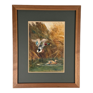 Original 1953 Arthur D. Fuller Watercolor – "Mallards in the Reeds" (Salmagundi Club)