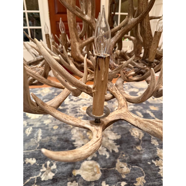 Rustic Mule Deer Antler Chandelier For Sale - Image 3 of 4