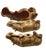 Mid-Century Ceramic Hippos from Zaccagnini, Italy, 1950s, Set of 3 For Sale - Image 16 of 18