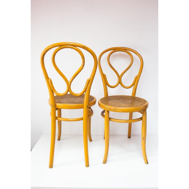 Set of Yellow Chairs by Josias Eissler & Söhne, Vienna, 1890s For Sale - Image 5 of 10