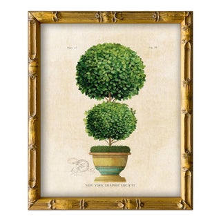 Framed Reproduction Vintage "Topiary Garden (3)" Art Print For Sale
