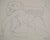 Henri Matisse, Femme au repos, Lithograph For Sale - Image 5 of 5