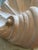 White Plaster Shell Wall Lamp, 1950s For Sale - Image 8 of 13
