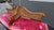 Vintage Louis XV Gold Double Cane and Wood Tete a Tete 98" For Sale - Image 4 of 4