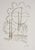 Man Ray, Dream Flowers: Hélène, 1969, Original Etching For Sale - Image 6 of 6