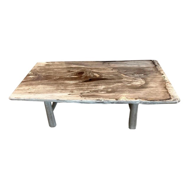 Andrianna Shamaris Single Slab Petrified Wood Coffee Table For Sale