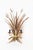 This stunning wall lamp from the 1960s is a real gem. Its beauty is unmatched, making it a true conversation piece. The...