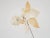 1960s German Adjustable Mod SY1 Flower Floor Lamp by Gunter Symmank for Integra, 1960s For Sale - Image 5 of 9