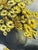 Original Mid-Century Oil on Canvas, Yellow Daisy Still Life, Signed Patti Rock, (1927 - 2004) For Sale - Image 14 of 15