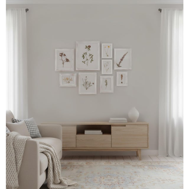 A wonderful gallery of nine custom framed antique Swedish herbarium floral specimens, collected circa 1920. Presented in...