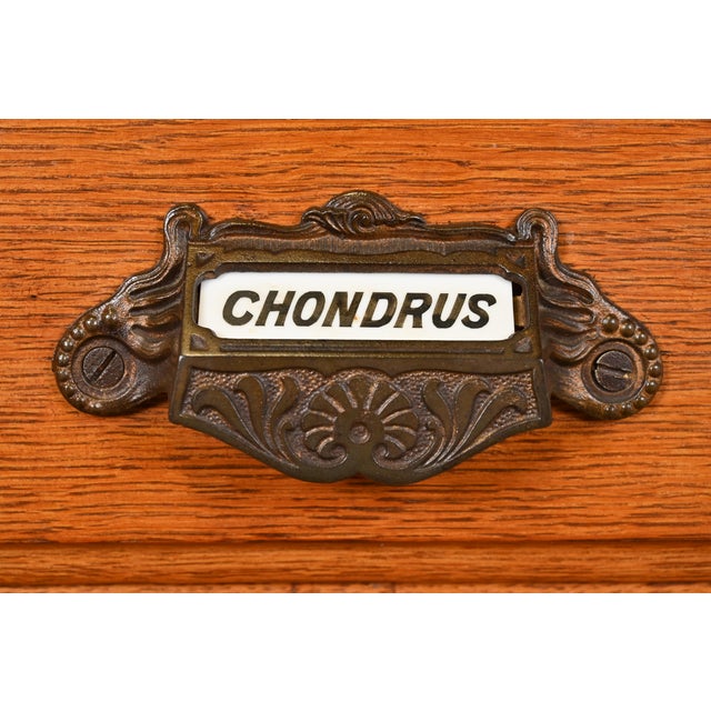 Brown Antique Arts & Crafts Oak 15-Drawer Filing Cabinet or Apothecary Cabinet, Circa 1900 For Sale - Image 8 of 12