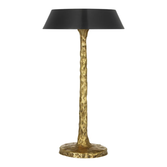 Ian K. Fowler by Visual Comfort Signature Ilosi 12" Sculpted Rechargeable Table Lamp in Hand-Rubbed Antique Brass with Bronze Shade For Sale