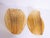 Amber Murano Wall Sconces Glass and Brass by J. T. Kalmar, Austria 1960s, Set of 2 For Sale - Image 9 of 11