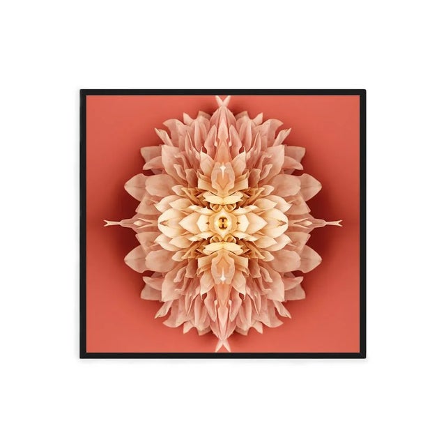 Not Yet Made - Made To Order "No. 127" Contemporary Original Abstract Botanical Limited Edition Print by Erin Derby For Sale - Image 5 of 6