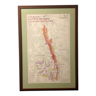 Custom Framed French Burgundy Côte De Nuits Wine Map With Conservation Glass For Sale