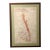 Custom Framed French Burgundy Côte De Nuits Wine Map With Conservation Glass For Sale